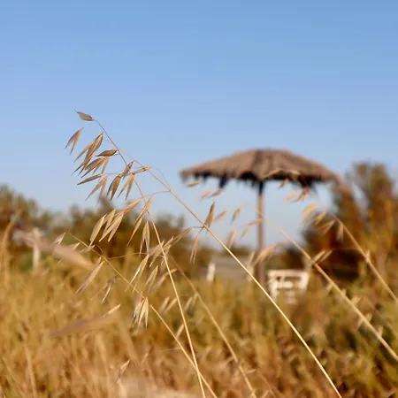 Naxos House, One Minute Away From The Beach! *